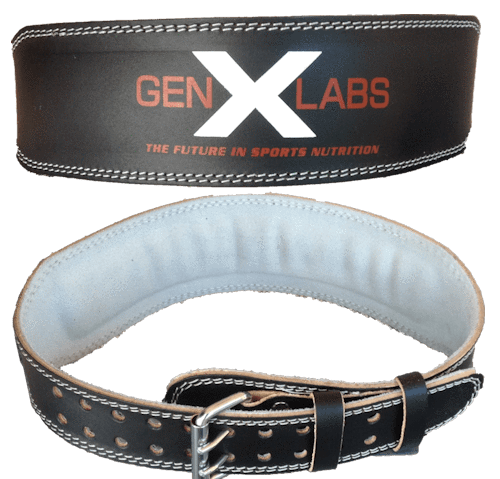FREE GenXLabs Padded Weight Lifting Belt 4" | Body and Fitness back