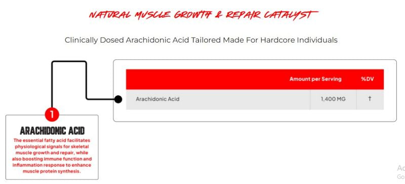 Enhanced Labs Ara Acid – Natural Muscle Builder