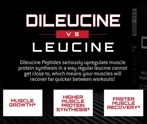 Unmatched Supps Dileucine|BCAA|Bodyandfitness.com