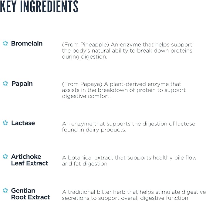 Revive Digest Aid Digestive Support 90 Vegetarian Capsules|Digestion|Bodyandfitness.com