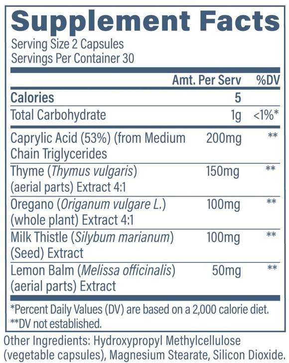 Revive Gut Health+ Daily GI Support Formula 60 Vegetarian Capsules|Digestion|Bodyandfitness.com