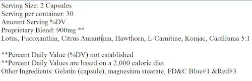 Best Fat Burner Appetite Control Hi-Tech with Suppress Xtreme|Fat Burner|Bodyandfitness.com