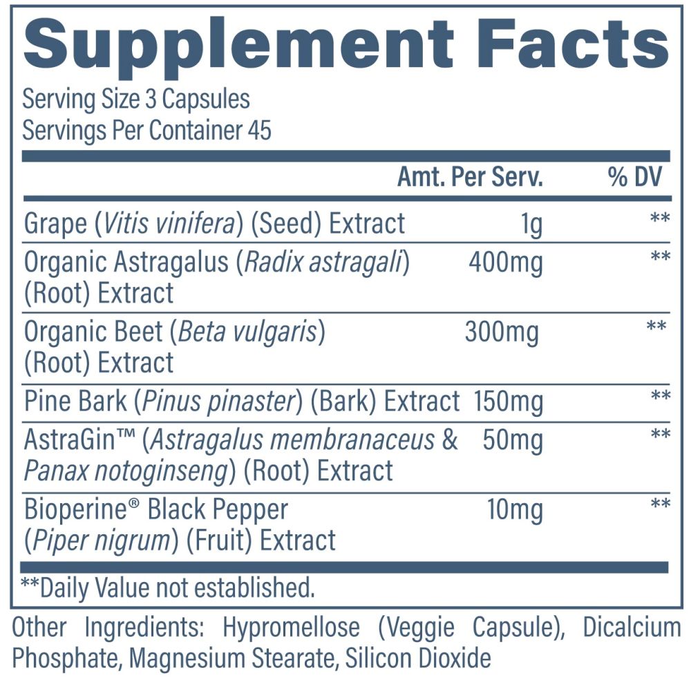 Revive Kidney Supports Healthy Kidney Functions 135 Vegetarian Capsules| Bodyandfitness.com