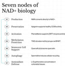 Revive Longevity Restore with NMN-4