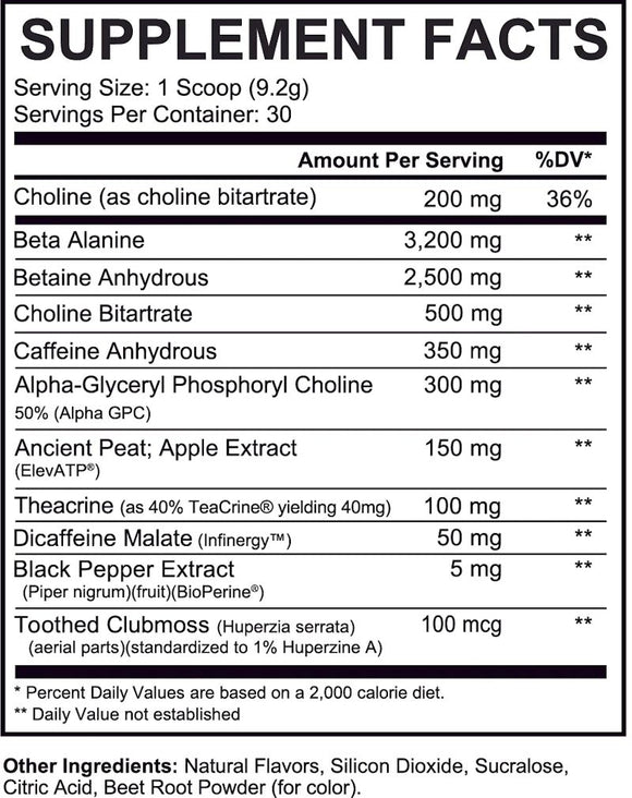 Axe & Sledge Seventh Gear V2 Pre-Workout|Pre Workout|Bodyandfitness.com