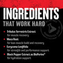 Universal Nutrition Animal Stak 21 paks|Test Booster|Bodyandfitness.com