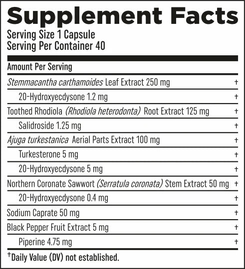 HTLT Supps Turk Builder Platinum|Muscle Builders|Bodyandfitness.com