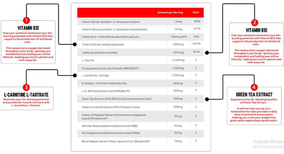 Enhanced Labs All Day Shred Fat Burner Pre-Workout|Pre-Workout|Bodyandfitness.com