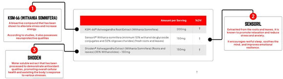 Enhanced Labs Ashwagandha Athletes Performance 30 Capsules|Stress|Bodyandfitness.com