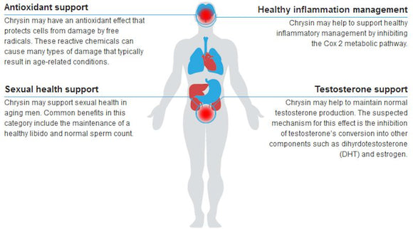 GenXLabs Chrysin 750 Test Booster