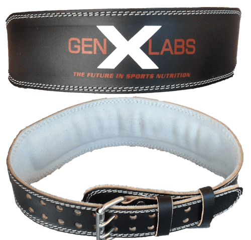 FREE GenXLabs Padded Weight Lifting Belt 4" (code) Free Belt|Belt|Bodyandfitness.com