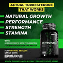 Enhanced Labs Phytoturk Turkesterone 60 Capsules|Test Booster|Bodyandfitness.com