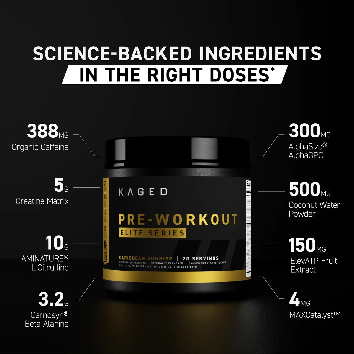 Kaged Pre Workout Elite Powder