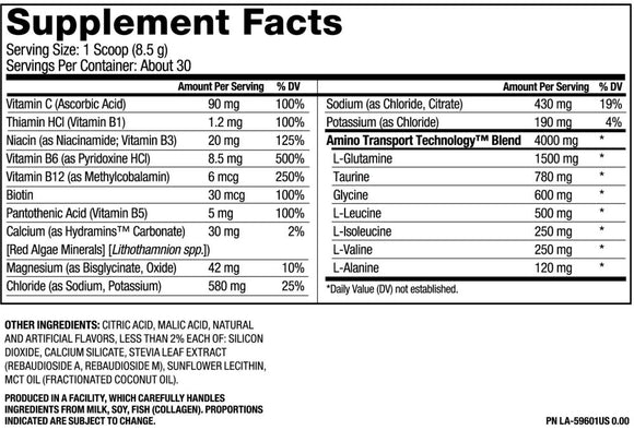 Pure Vita Labs PROH2O Sugar Free Sports Drink|Pre Workout|Bodyandfitness.com