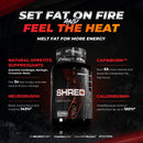 Enhanced Labs Shred|Lean Muscle|Bodyandfitness.com