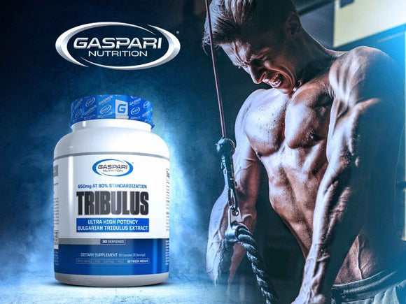 Gaspari Nutrition Tribulus Ultra High Potency