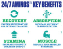 MyoBlox 24/7 Aminos 30 servings|Amino Acids|Bodyandfitness.com