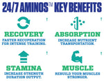 MyoBlox 24/7 Aminos benefits