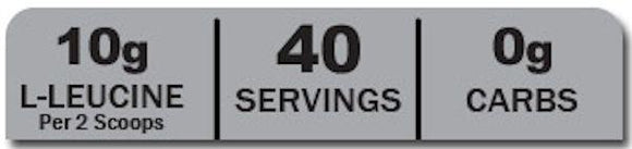 ANSI BCAA 12400 40 servings|BCAAs|Bodyandfitness.com