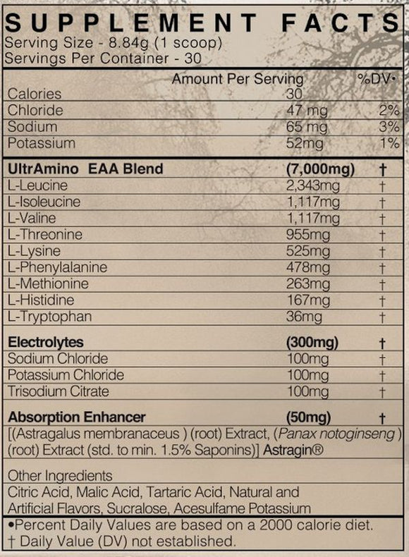 BlackMarket Labs Guerrilla BASE|BCAA|Bodyandfitness.com