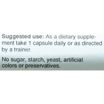 Body and Fitness L-Arginine & Ornithine 100 Capsules|Amino Acids|Bodyandfitness.com