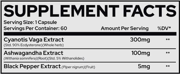 Repp Sports Ecdysterone+ Anabolic Agents 60 Capsules|Muscle Builder|Bodyandfitness.com