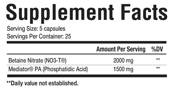 Merica Labz Full Metal Jacket|Muscle Builder|Bodyandfitness.com