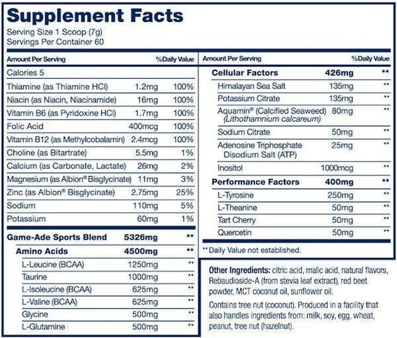 PVL Pure Vita Labs Game-Ade|Pre Workout|Bodyandfitness.com