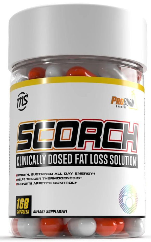 Man Sports Scorch Fat Burner Caps|Fat Burner|Bodyandfitness.com