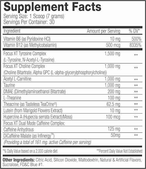 Serious Nutrition Solutions SNS Focus XT Pre-Workout 30 servings|Acety-L-Carnitine|Bodyandfitness.com